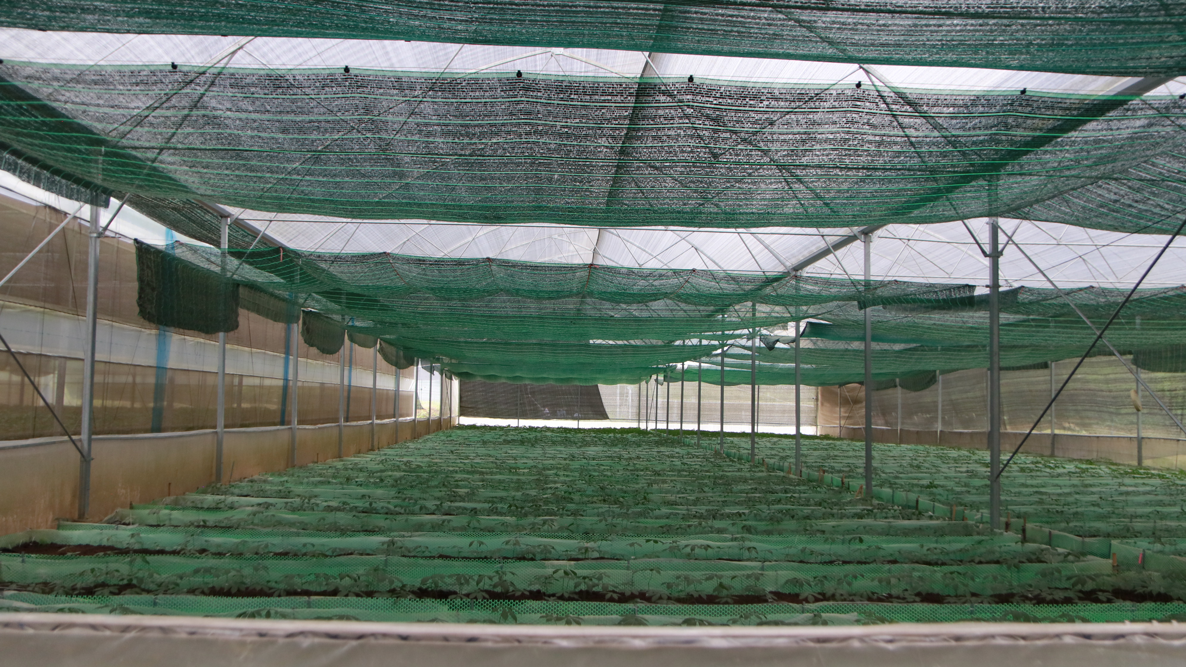 Nhà-máy-vùng-trồng