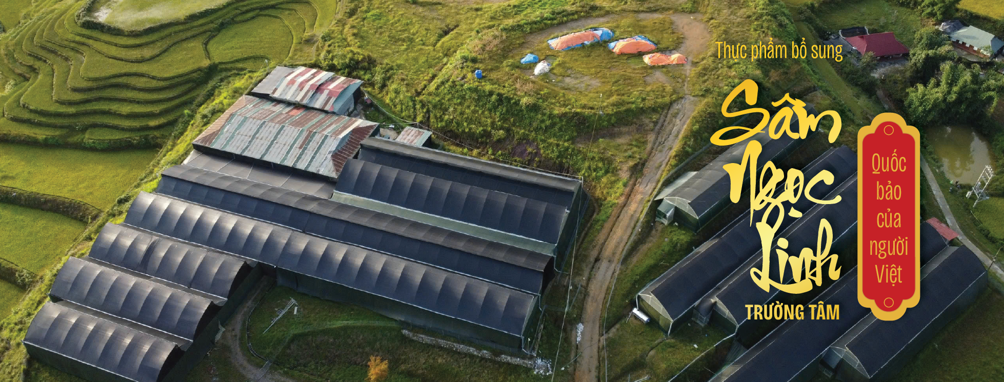 Nhà máy sản xuất đạt <br/> chuẩn GMP