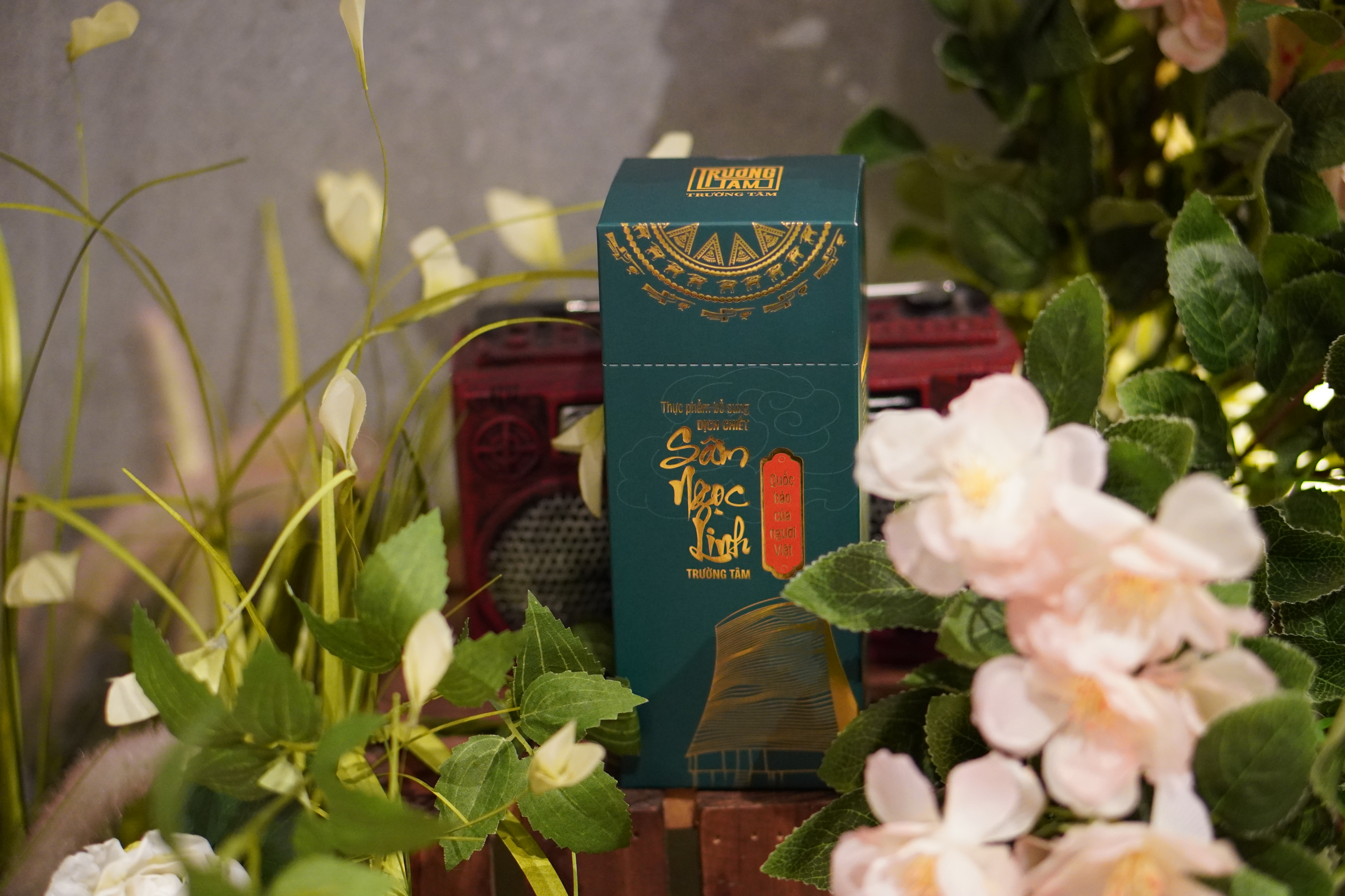 Sản phẩm Sâm Ngọc Linh Trường Tâm